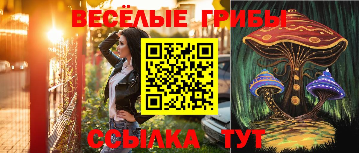 Ивантеевка  Псилоцибиновые грибы GOLDEN TEACHER  Вход с VPN 